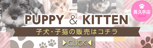 子犬・子猫の販売はコチラ