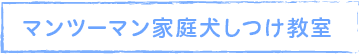 マンツーマン家庭犬しつけ教室